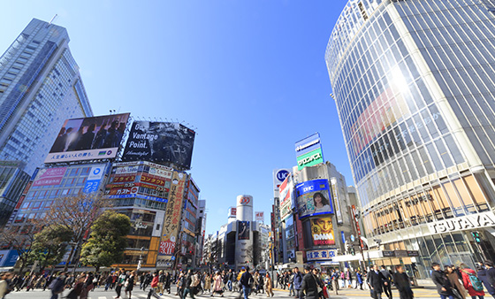 渋谷区のレンタルオフィス レンタルオフィスならビジネスエアポート