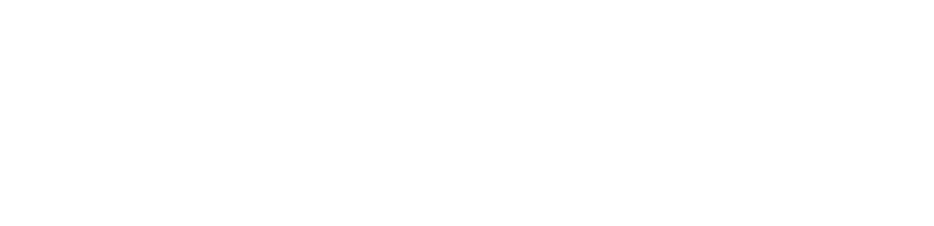 Business-Airport Roppongi